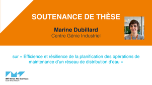 Soutenance de thèse Marine Dubillard