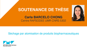 Soutenance de thèse Carla Maria Barcelo Chong