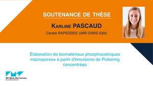 Soutenance de thèse Karline Pascaud