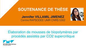 Soutenance de thèse Jennifer Villamil Jimenez