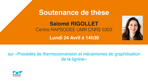 Soutenance de thèse de Salomé RIGOLLET
