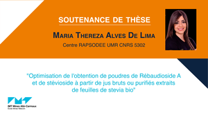 Soutenance de thèse Maria Thereza Alves De Lima